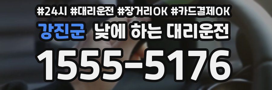 강진군 낮에 하는 대리운전