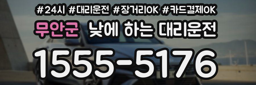 무안군 낮에 하는 대리운전