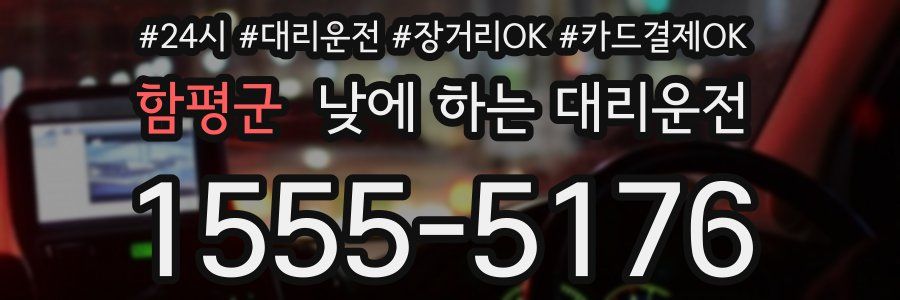함평군 낮에 하는 대리운전