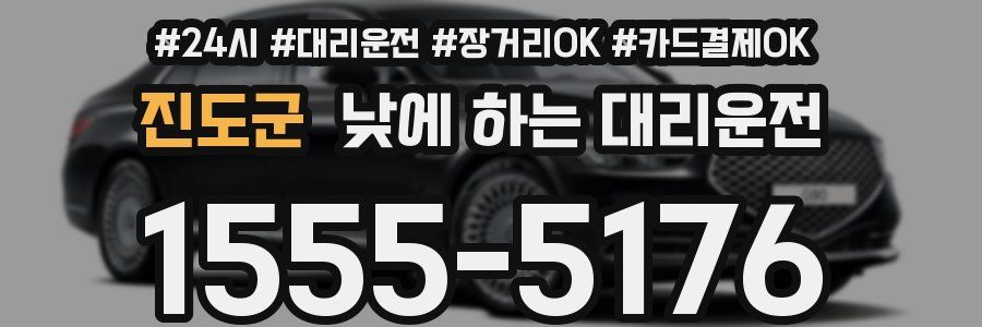 진도군 낮에 하는 대리운전