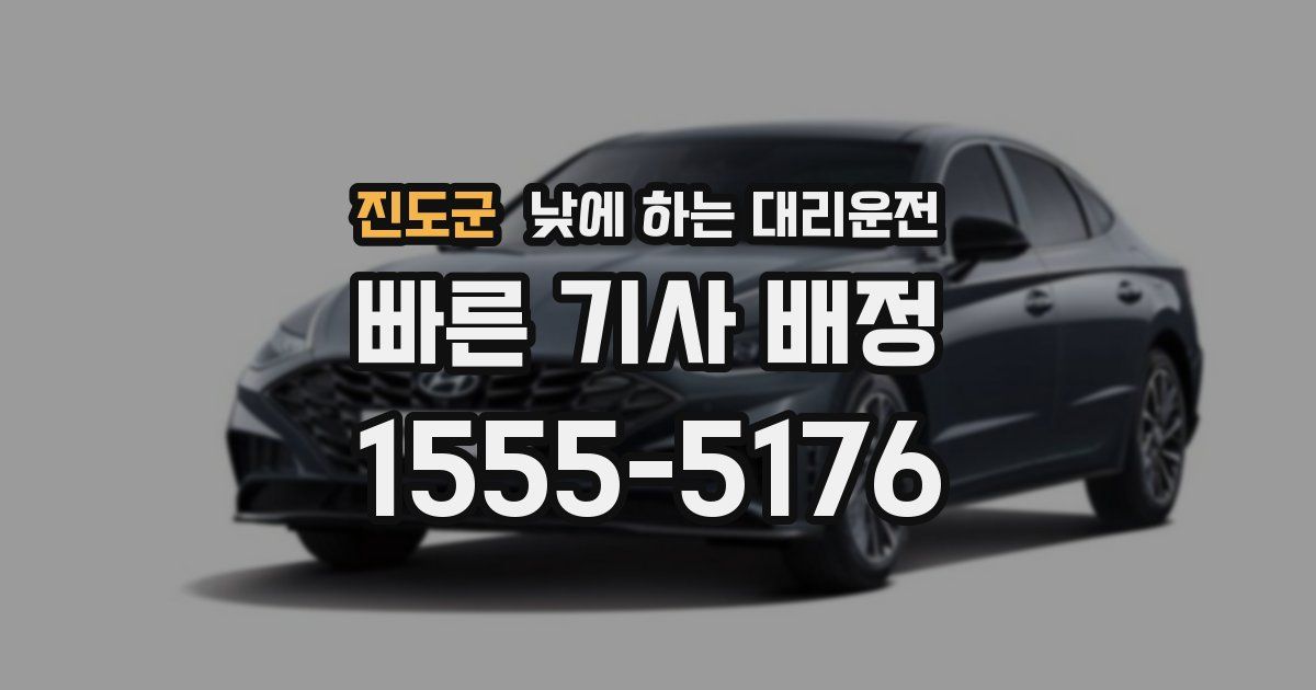 진도군 낮에 하는 대리운전