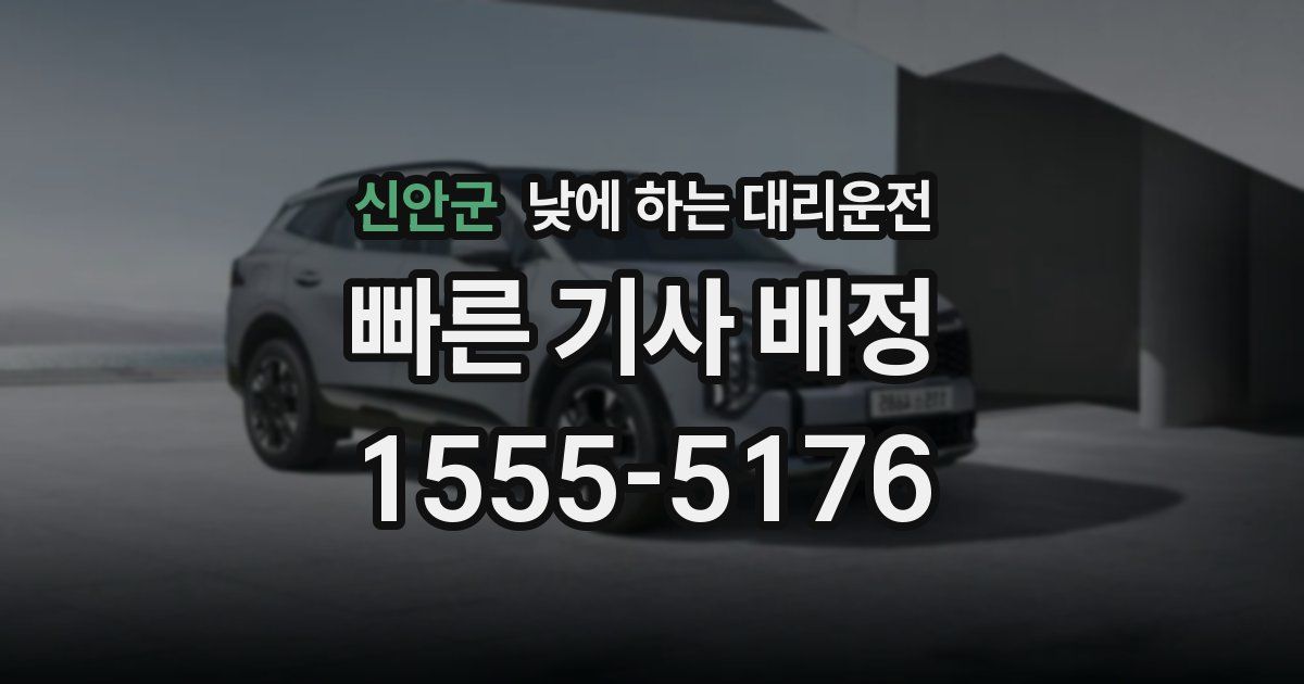 신안군 낮에 하는 대리운전