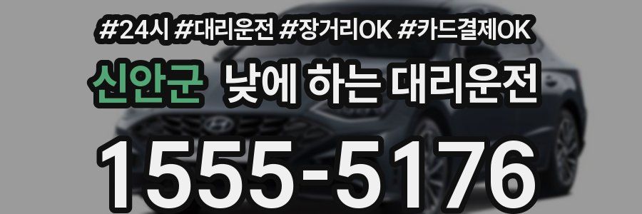 신안군 낮에 하는 대리운전