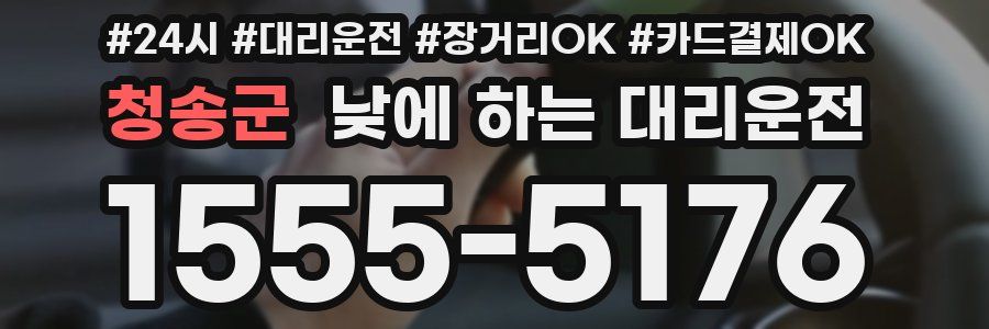 청송군 낮에 하는 대리운전