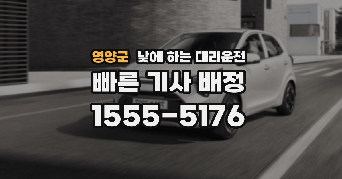 영양군 낮에 하는 대리운전