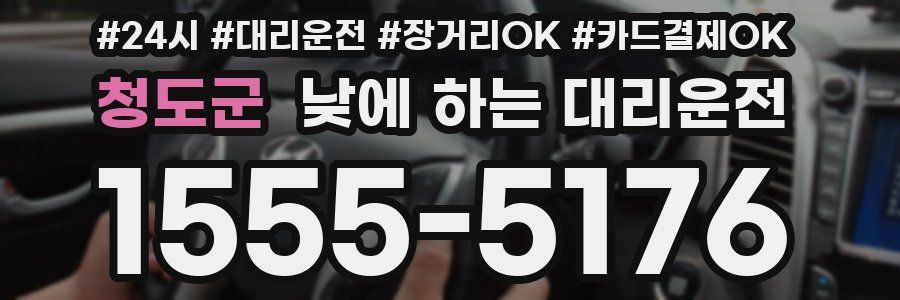 청도군 낮에 하는 대리운전