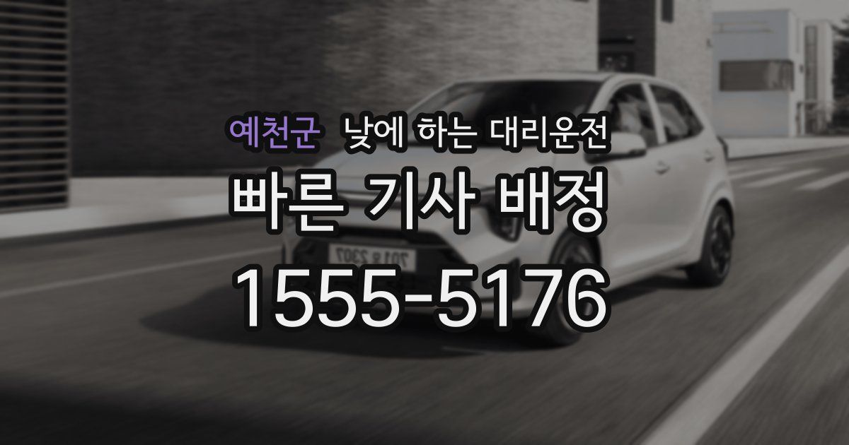 예천군 낮에 하는 대리운전