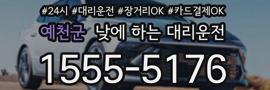 예천군 낮에 하는 대리운전
