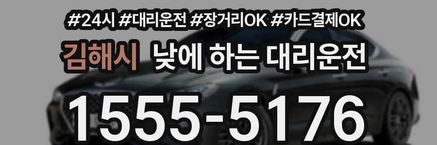 김해시 낮에 하는 대리운전
