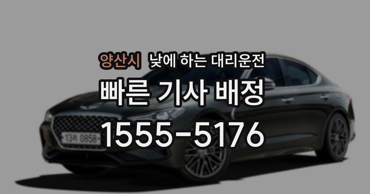 양산시 낮에 하는 대리운전