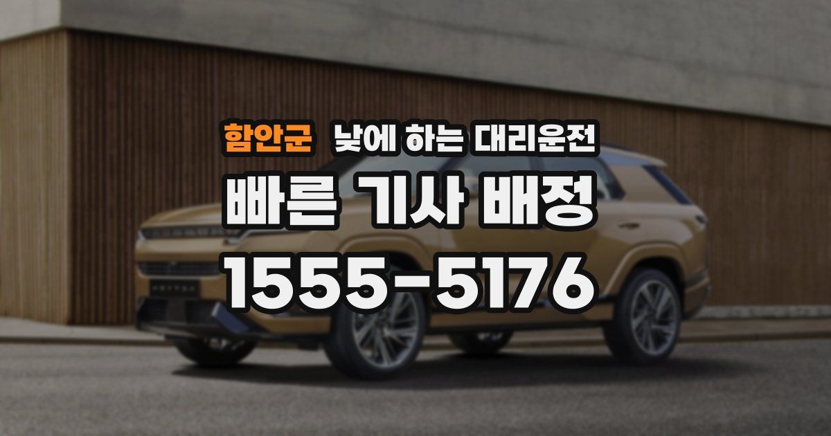 함안군 낮에 하는 대리운전