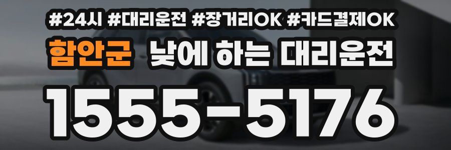 함안군 낮에 하는 대리운전