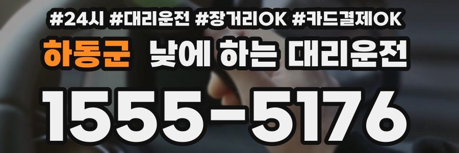 하동군 낮에 하는 대리운전