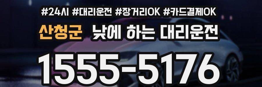 산청군 낮에 하는 대리운전