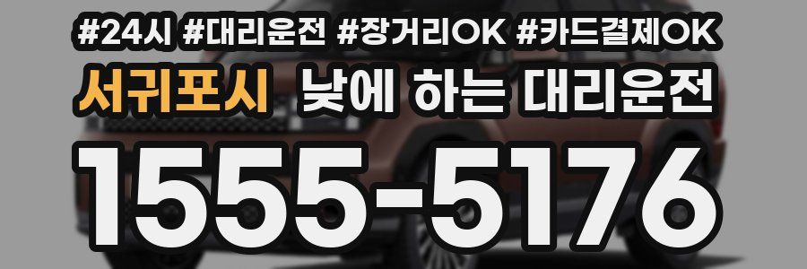 서귀포시 낮에 하는 대리운전