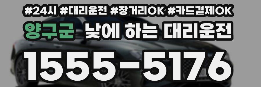 양구군 낮에 하는 대리운전