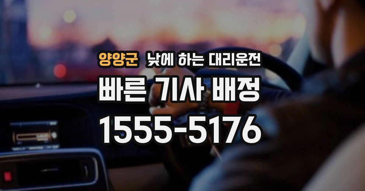 양양군 낮에 하는 대리운전