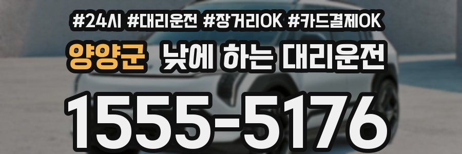 양양군 낮에 하는 대리운전