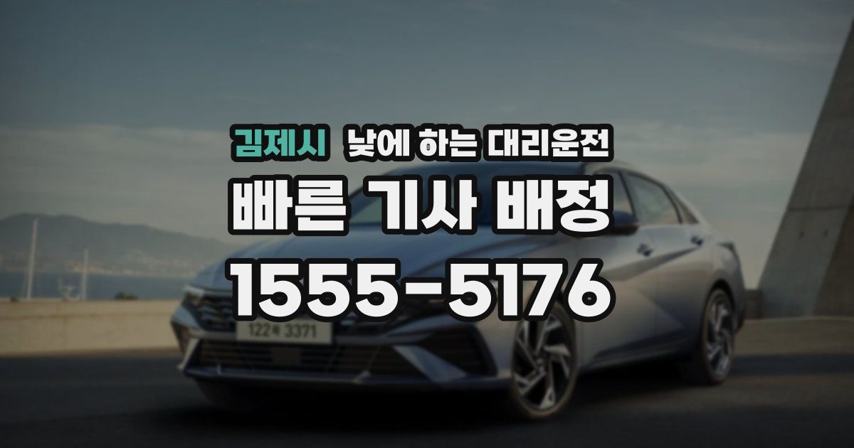 김제시 낮에 하는 대리운전