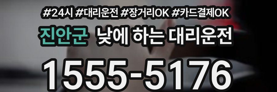 진안군 낮에 하는 대리운전