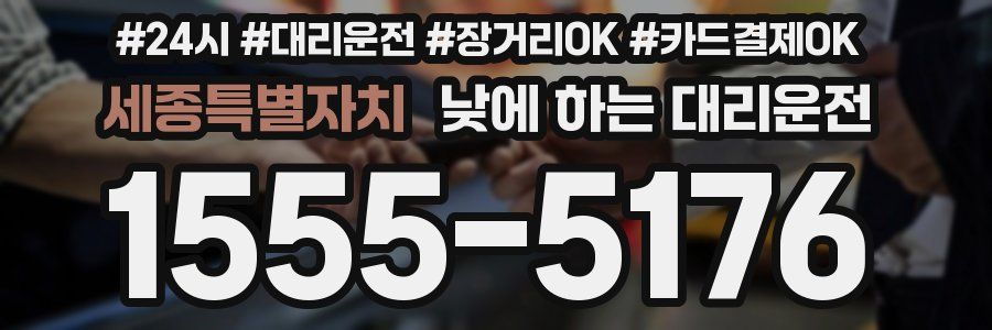 세종특별자치 낮에 하는 대리운전