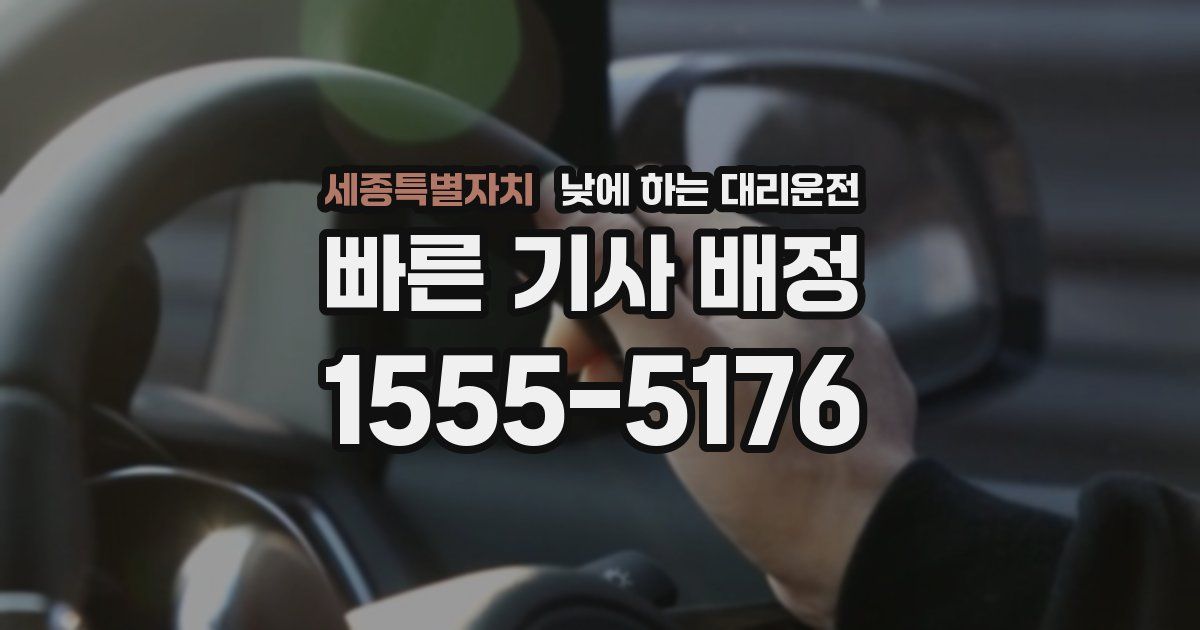 세종특별자치 낮에 하는 대리운전