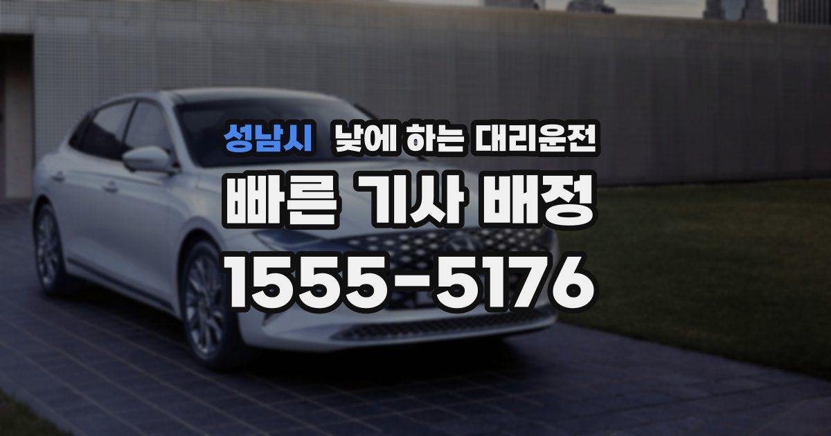 성남시 낮에 하는 대리운전