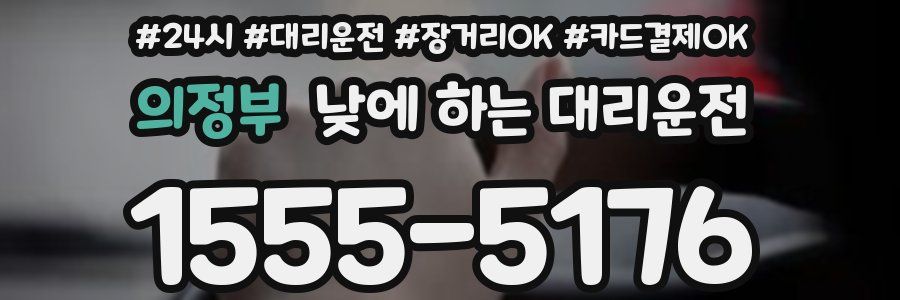 의정부 낮에 하는 대리운전