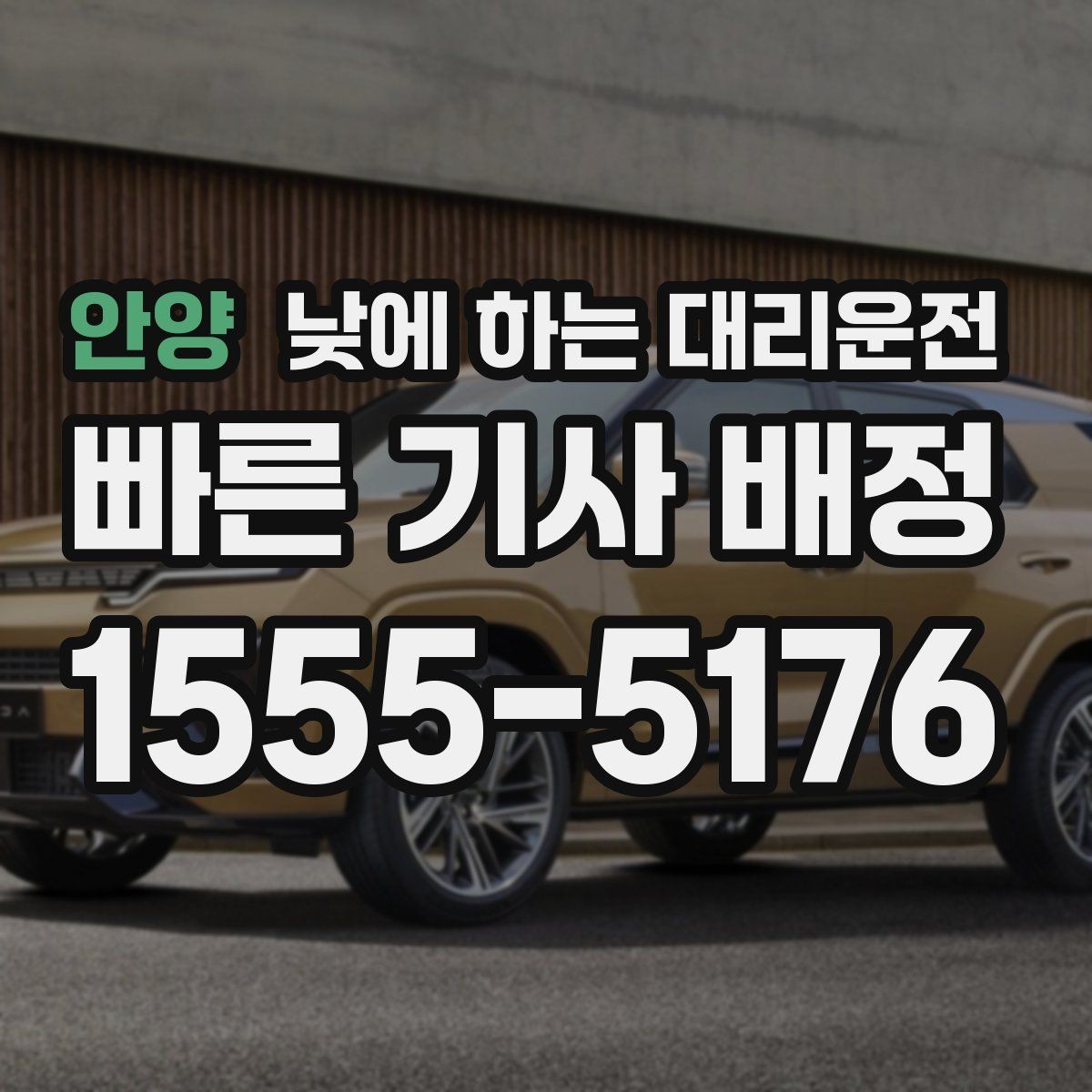 안양 낮에 하는 대리운전 반려동물 동승이 있을 때 미리 안내하기