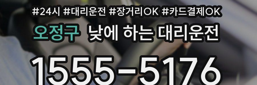 오정구 낮에 하는 대리운전