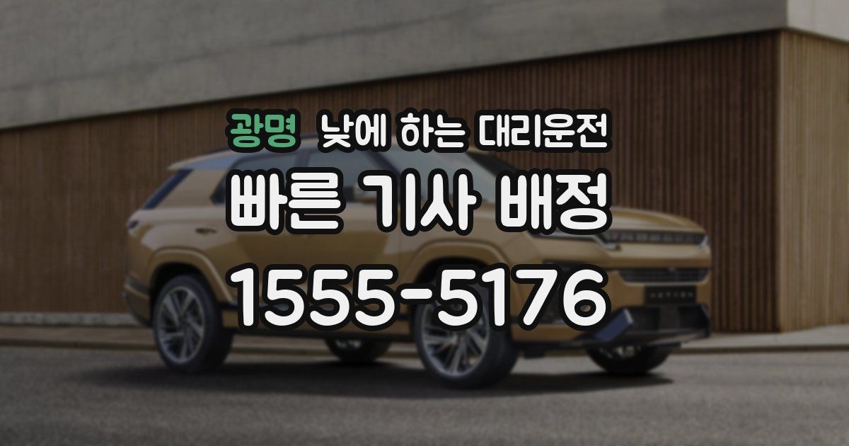 광명 낮에 하는 대리운전