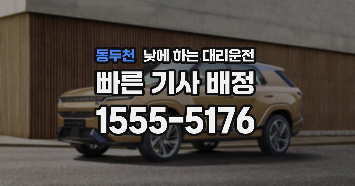 동두천 낮에 하는 대리운전