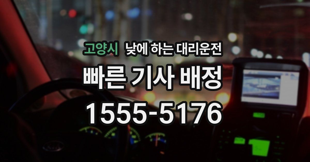 고양시 낮에 하는 대리운전