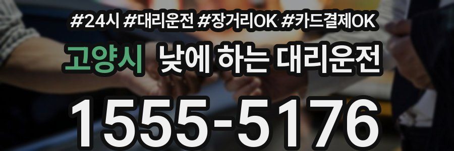 고양시 낮에 하는 대리운전