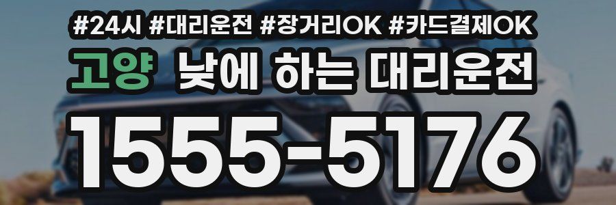 고양 낮에 하는 대리운전