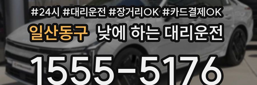 일산동구 낮에 하는 대리운전