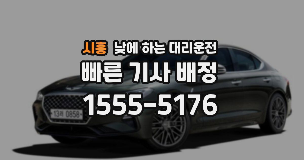 시흥 낮에 하는 대리운전