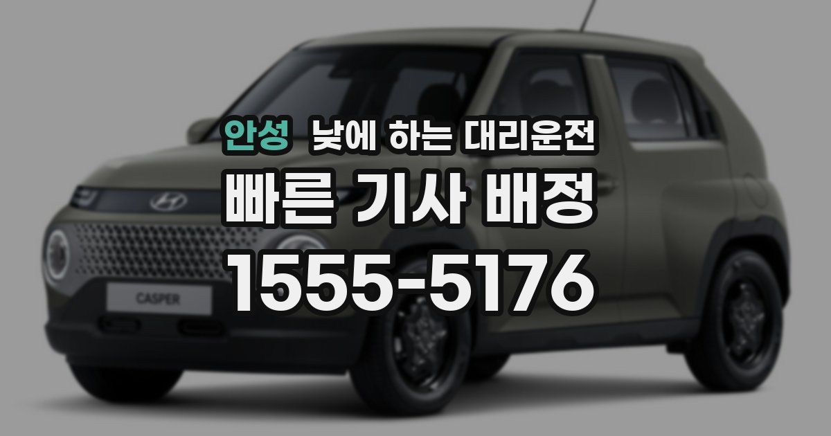 안성 낮에 하는 대리운전