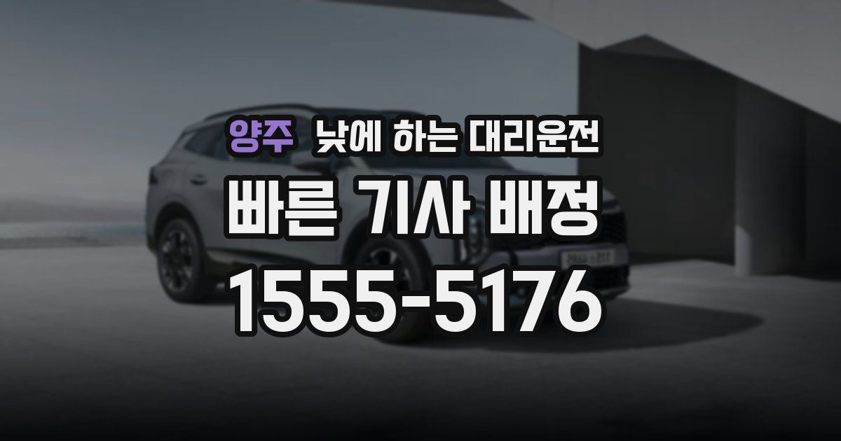 양주 낮에 하는 대리운전