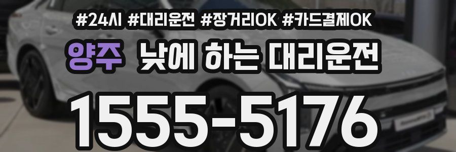 양주 낮에 하는 대리운전