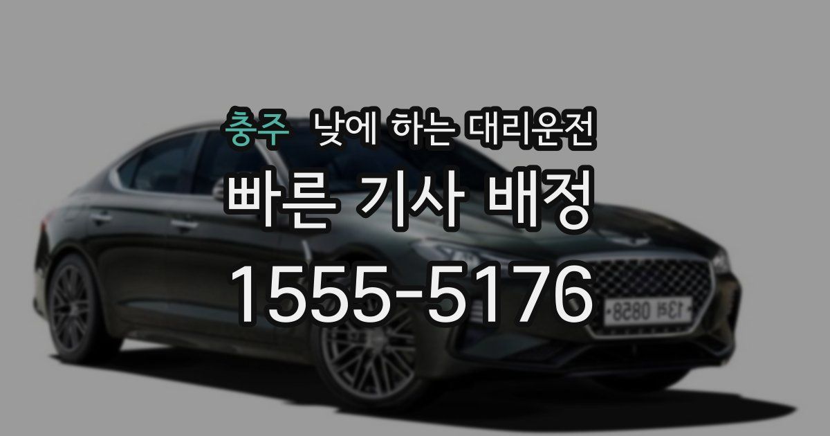 충주 낮에 하는 대리운전