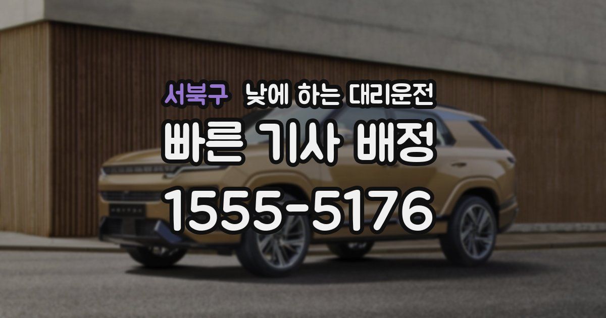 서북구 낮에 하는 대리운전