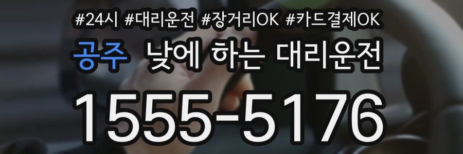 공주 낮에 하는 대리운전
