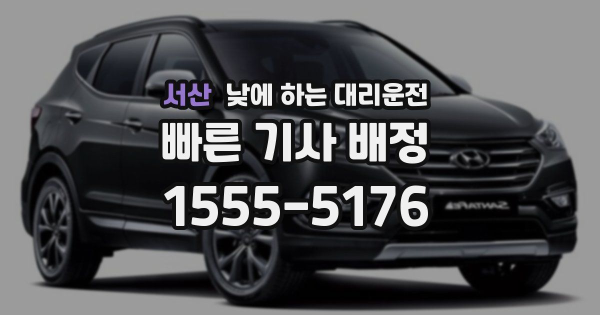 서산 낮에 하는 대리운전