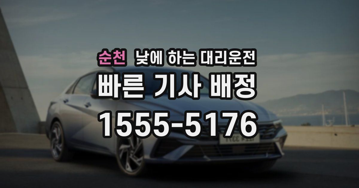 순천 낮에 하는 대리운전