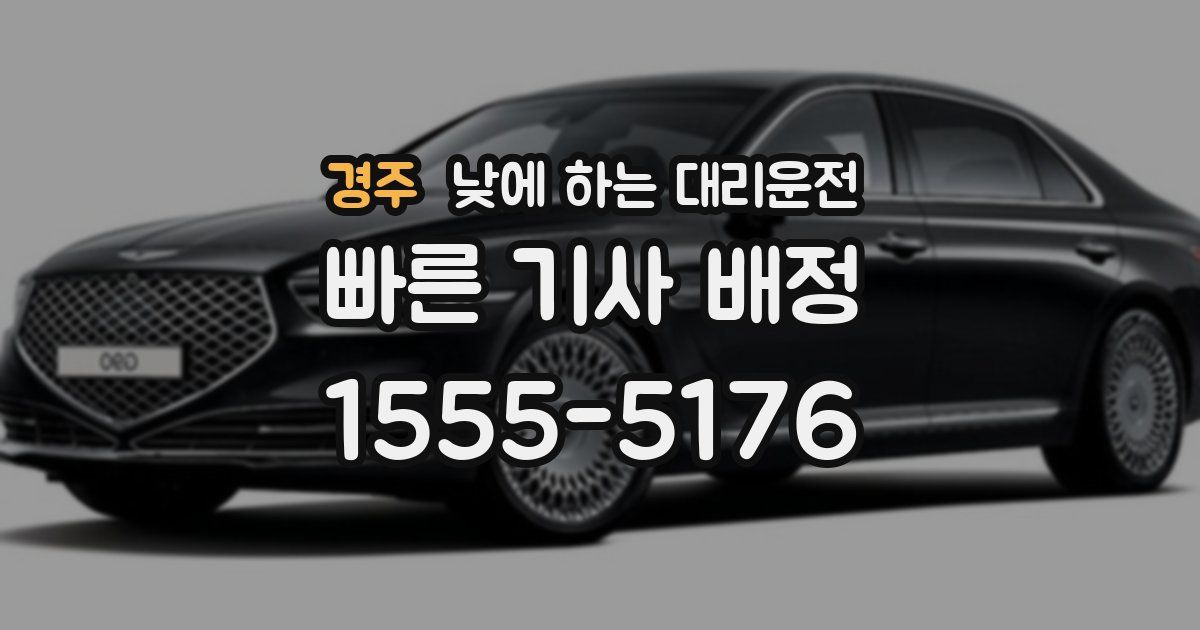 경주 낮에 하는 대리운전