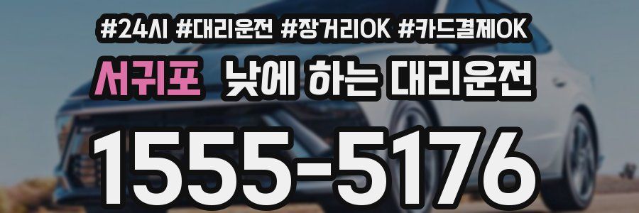 서귀포 낮에 하는 대리운전