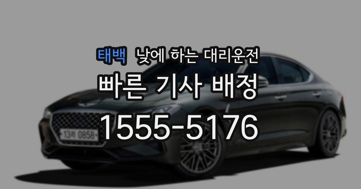 태백 낮에 하는 대리운전