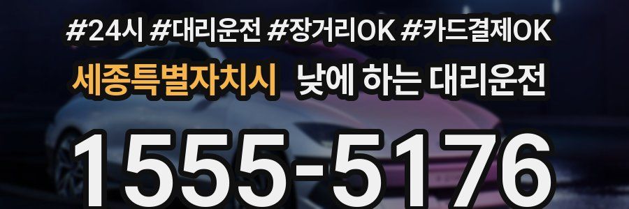 세종특별자치시 낮에 하는 대리운전