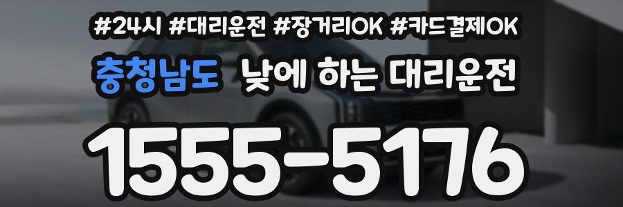 충청남도 낮에 하는 대리운전